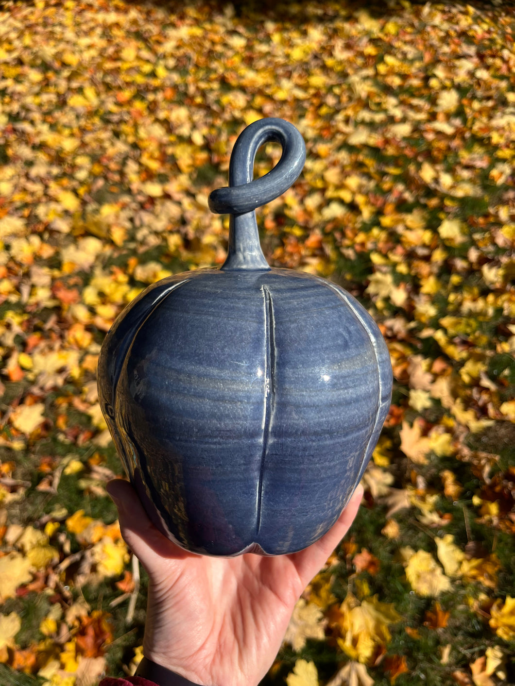 Large Blue Pumpkin