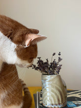Load image into Gallery viewer, *Felix’s Pick* Small Vase
